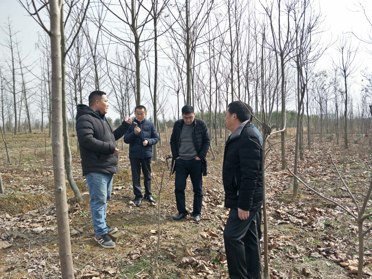 江苏滨淮农场到白马基地参观考察